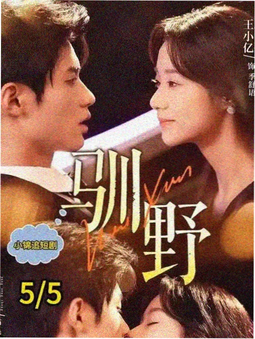 第九次告白 电视剧免费播放视频海报